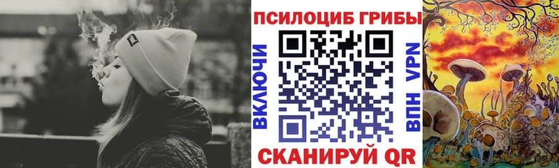 Псилоцибиновые грибы MAGIC MUSHROOMS  Камышин 